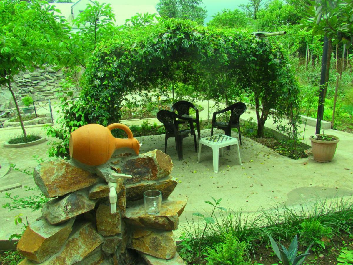 Holiday House Chkonia Hotel Batumi Exterior photo